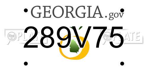 289V75 Georgia License Plate