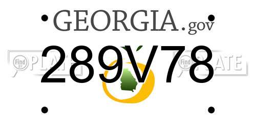 289V78 Georgia License Plate