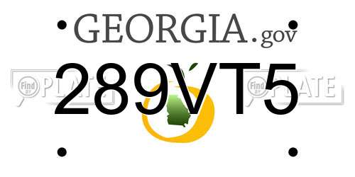 289VT5 Georgia License Plate