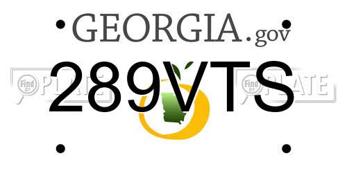 289VTS Georgia License Plate