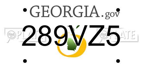 289VZ5 Georgia License Plate