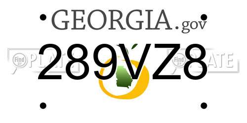 289VZ8 Georgia License Plate