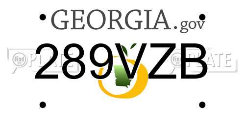 289VZB Georgia License Plate