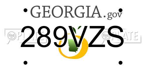 289VZS Georgia License Plate