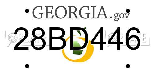 28BD446 Georgia License Plate