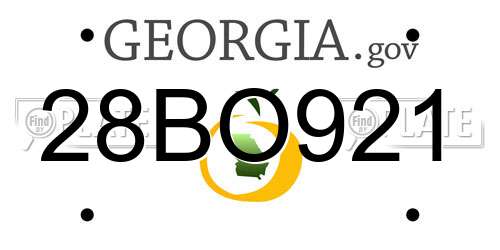 28BO921 Georgia License Plate