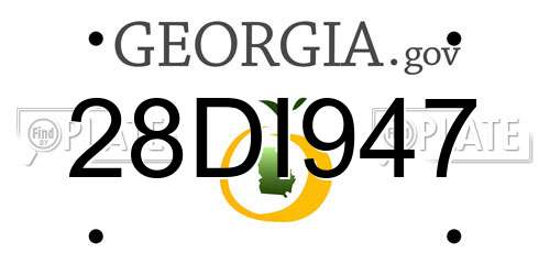 28DI947 Georgia License Plate