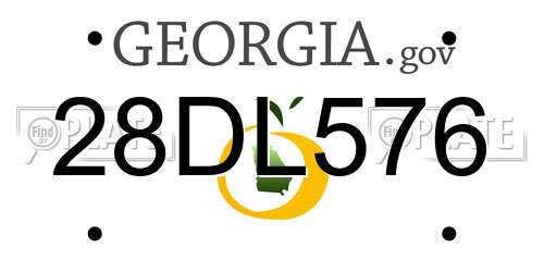 28DL576 Georgia License Plate