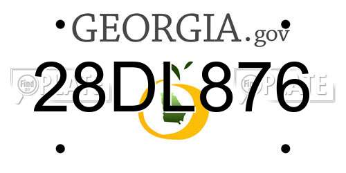 28DL876 Georgia License Plate