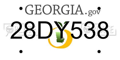 28DY538 Georgia License Plate