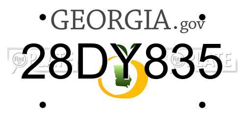 28DY835 Georgia License Plate