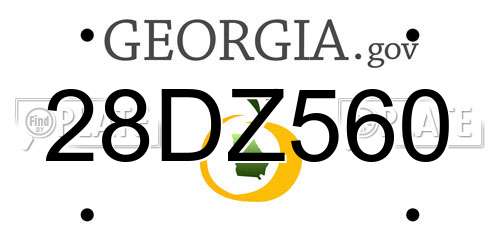 28DZ560 Georgia License Plate