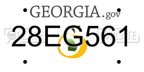 28EG561 Georgia License Plate