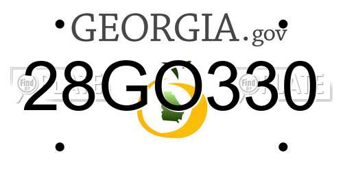 28GO330 Georgia License Plate