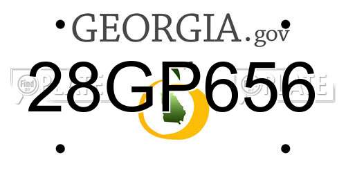 28GP656 Georgia License Plate