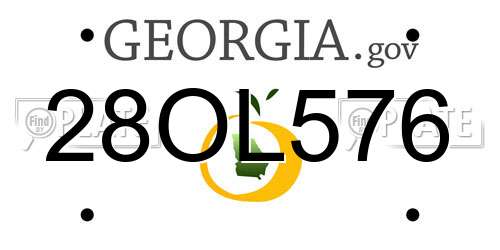 28OL576 Georgia License Plate