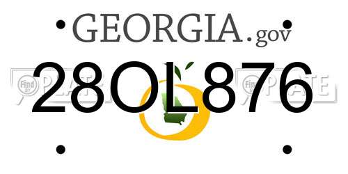 28OL876 Georgia License Plate