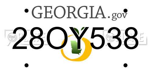 28OY538 Georgia License Plate