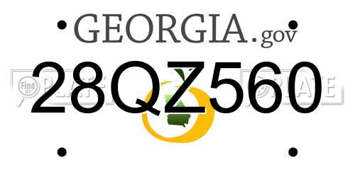 28QZ560 Georgia License Plate