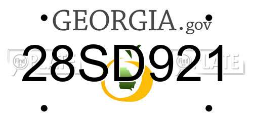 28SD921 Georgia License Plate