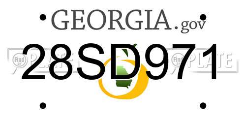 28SD971 Georgia License Plate