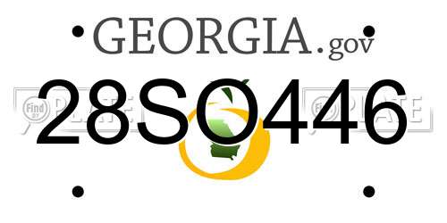28SO446 Georgia License Plate