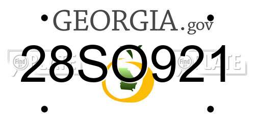 28SO921 Georgia License Plate