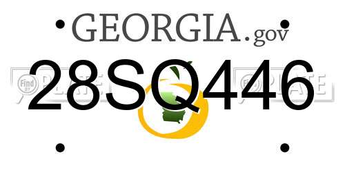 28SQ446 Georgia License Plate