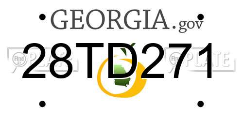 28TD271 Georgia License Plate