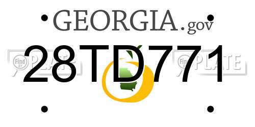 28TD771 Georgia License Plate