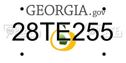 28TE255 Georgia License Plate