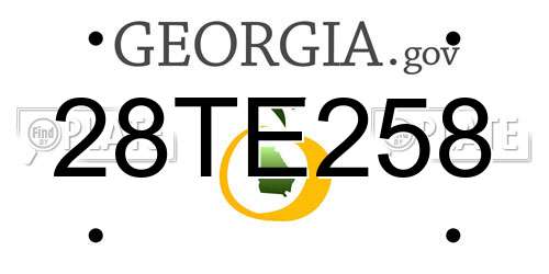 28TE258 Georgia License Plate