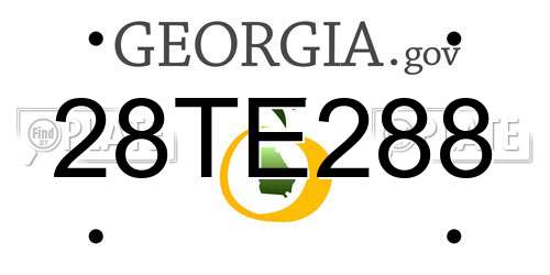 28TE288 Georgia License Plate