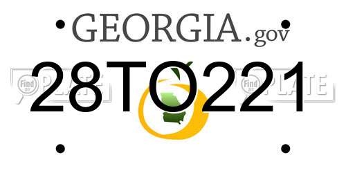 28TO221 Georgia License Plate