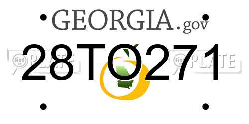 28TO271 Georgia License Plate