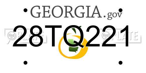 28TQ221 Georgia License Plate