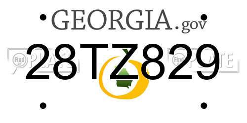 28TZ829 Georgia License Plate