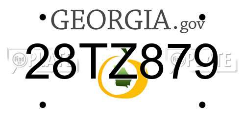 28TZ879 Georgia License Plate