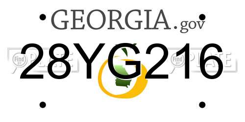 28YG216 Georgia License Plate
