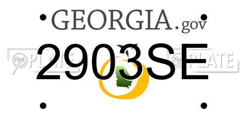 2903SE Georgia License Plate