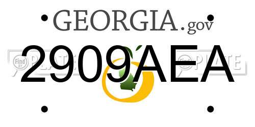 2909AEA Georgia License Plate