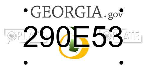 290E53 Georgia License Plate