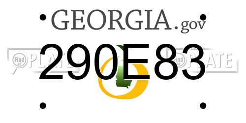 290E83 Georgia License Plate