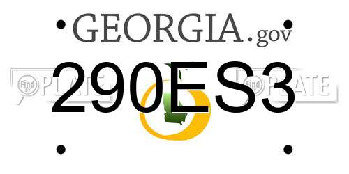 290ES3 Georgia License Plate