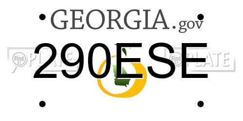 290ESE Georgia License Plate