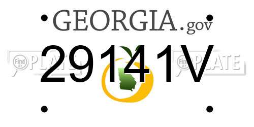 29141V Georgia License Plate