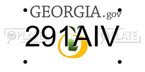 291AIV Georgia License Plate
