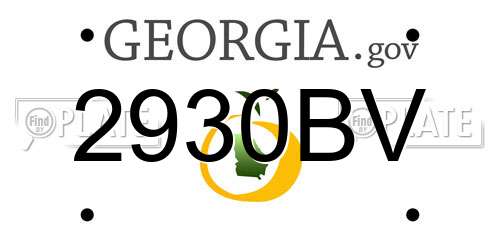2930BV Georgia License Plate