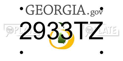 2933TZ Georgia License Plate