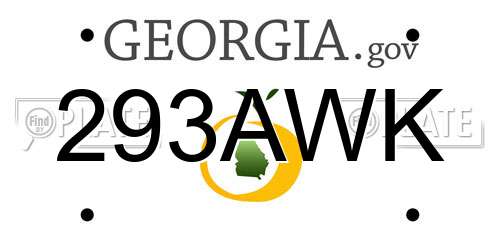293AWK Georgia License Plate